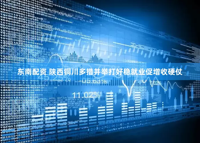 东南配资 陕西铜川多措并举打好稳就业促增收硬仗