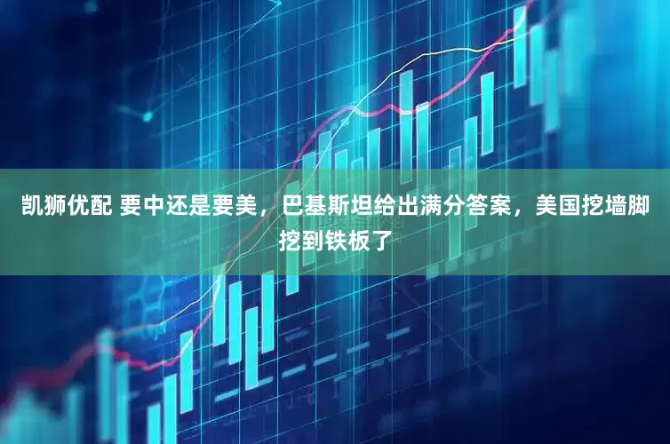 凯狮优配 要中还是要美，巴基斯坦给出满分答案，美国挖墙脚挖到铁板了